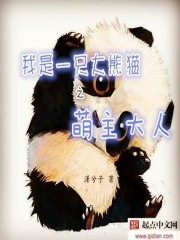 我是大熊猫小说封面